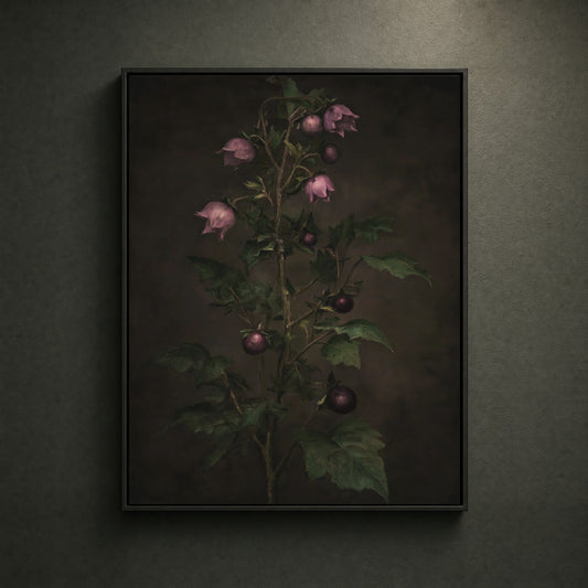 BLACK-CANVAS-HERO-001