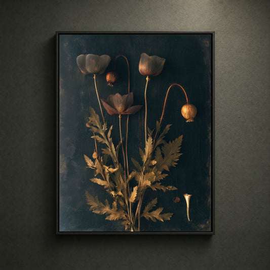 BLACK-CANVAS-HERO-001