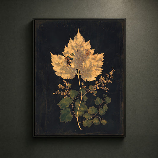 BLACK-CANVAS-HERO-001