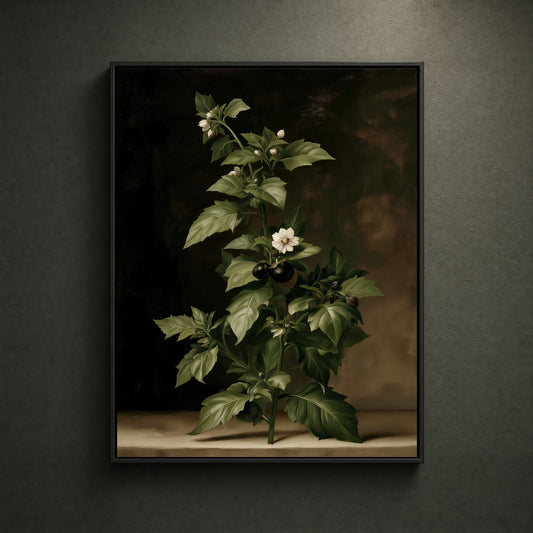 BLACK-CANVAS-HERO-001