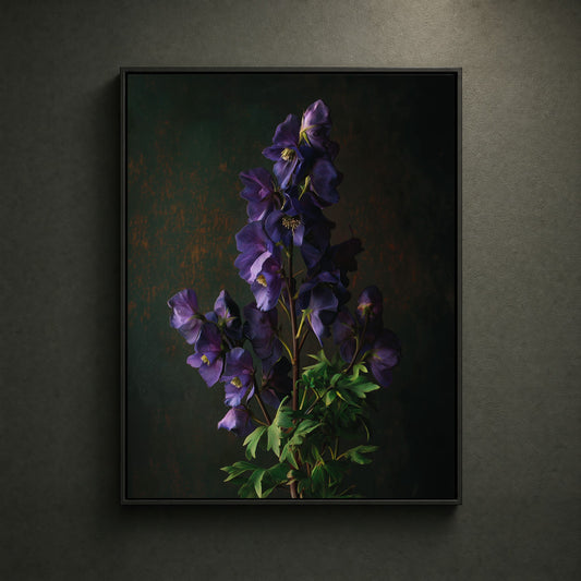 BLACK-CANVAS-HERO-001