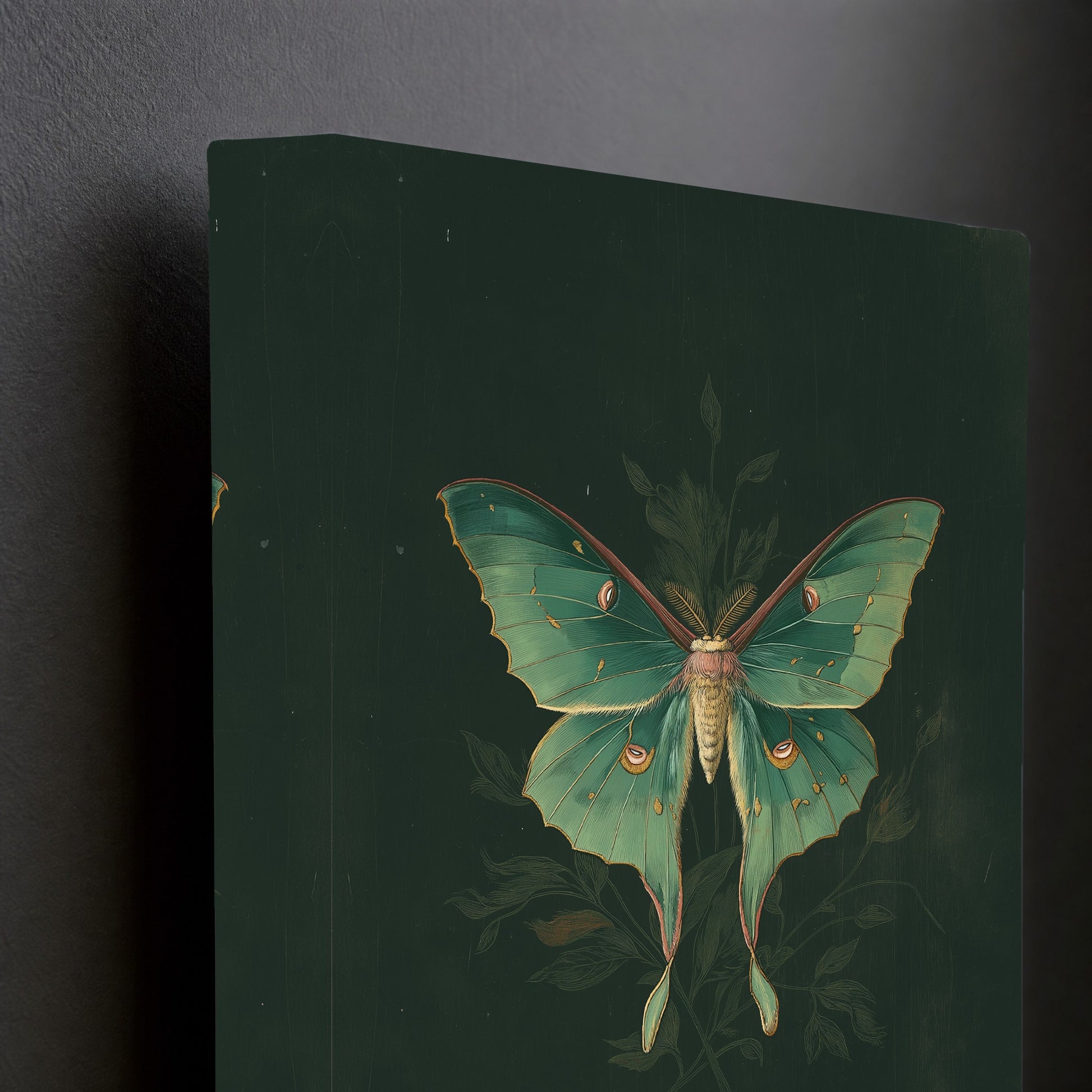 CANVAS-DETAIL-001
