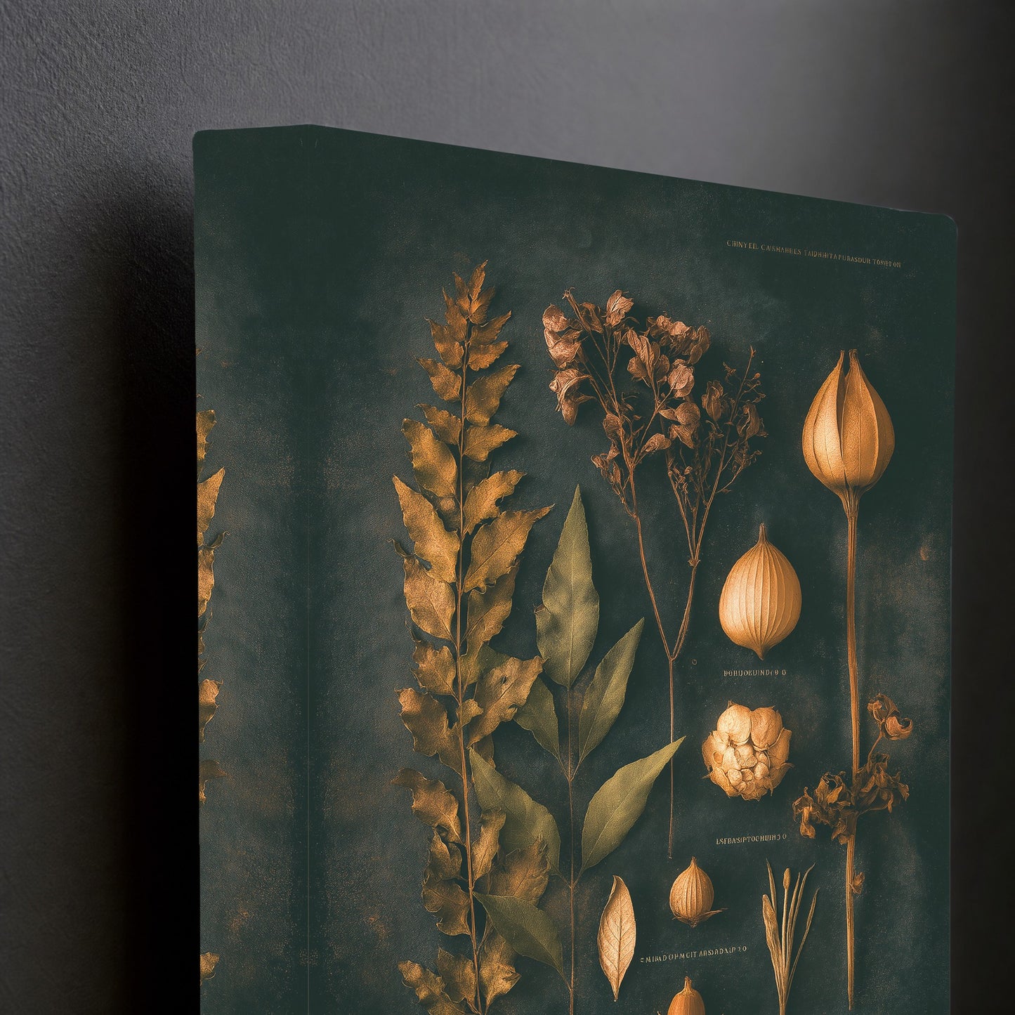 CANVAS-DETAIL-001