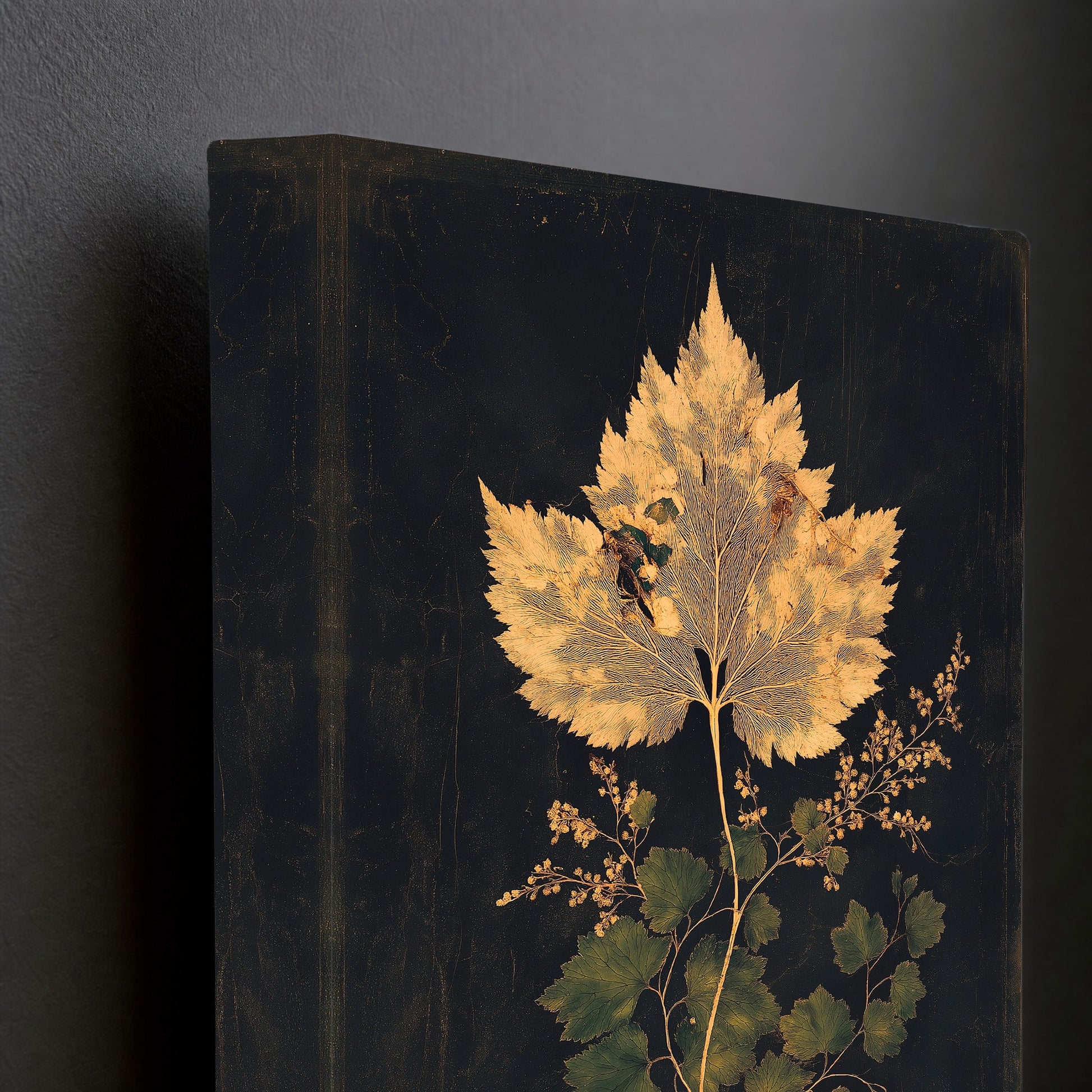 CANVAS-DETAIL-001