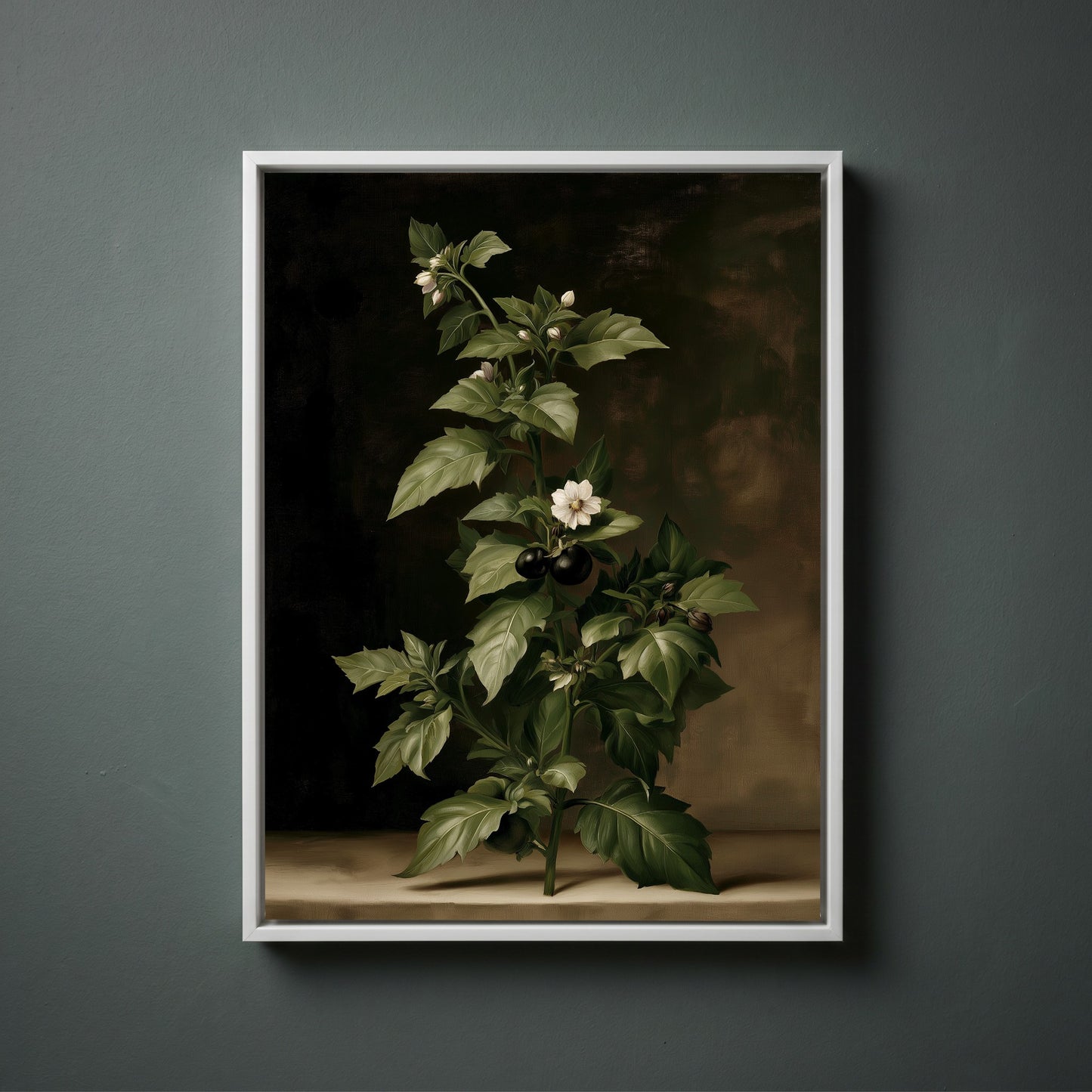 WHITE-CANVAS-HERO-001